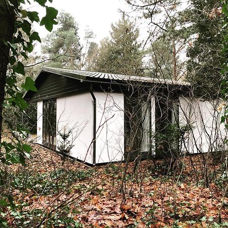 Www Huis Op De Veluwe Nl Nunspeet Εξωτερικό φωτογραφία