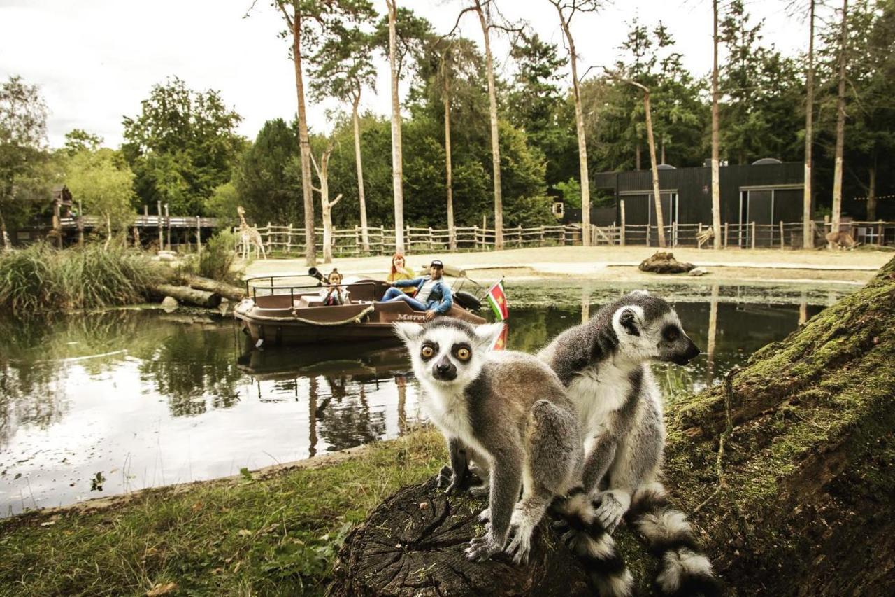 Www Huis Op De Veluwe Nl Nunspeet Εξωτερικό φωτογραφία