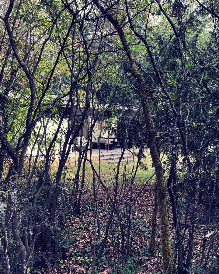 Www Huis Op De Veluwe Nl Nunspeet Εξωτερικό φωτογραφία